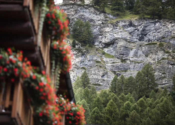 Continental Отель 3*