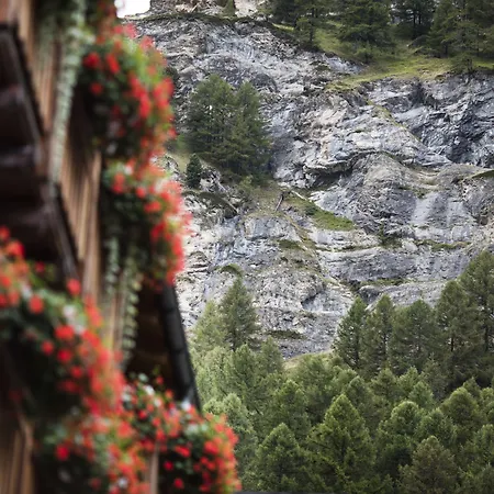 欧陆酒店 酒店 3*