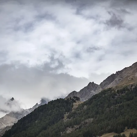 欧陆酒店 酒店 3*