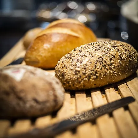 欧陆酒店 3* 采尔马特