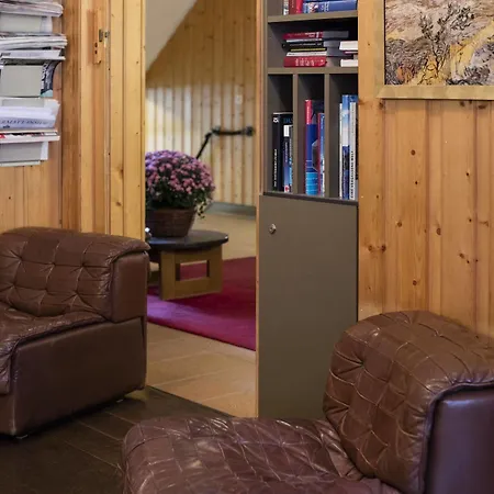 酒店 欧陆酒店 采尔马特